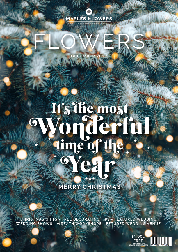 FLOWERS - December 2022