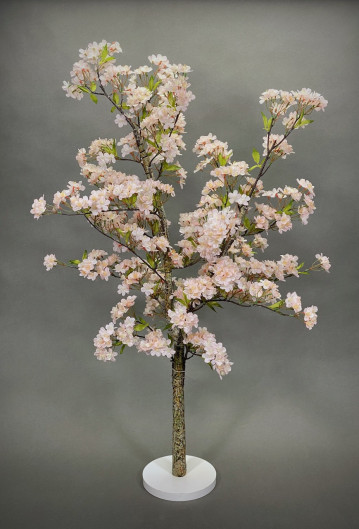 Pale Pink Blossom Tree