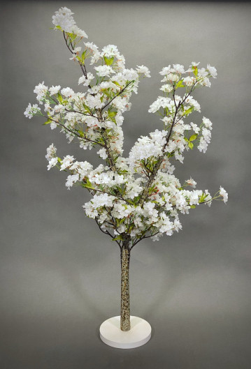 White Blossom Tree