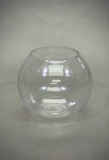 Large Fishbowl